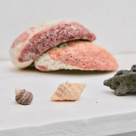 Апартаменты Casa Yerida *
